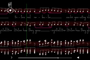 Bjork - Crystalline Notation