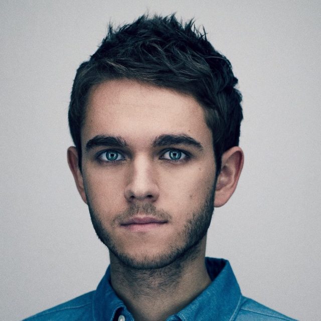 Zedd Clarity Promo